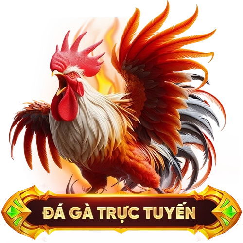 đá gà trực tuyến VIN99